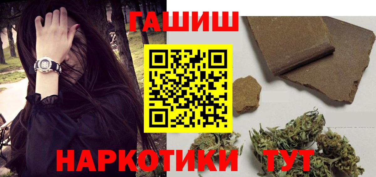 ГАШ Premium Курск