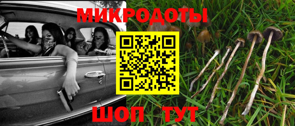 Псилоцибиновые грибы Cubensis  Псилоцибиновые грибы Psilocybine cubensis  Вход с VPN  Курск 