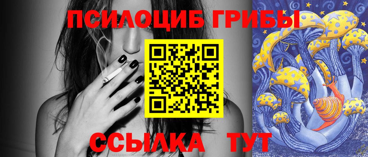 Галлюциногенные грибы мицелий Курск